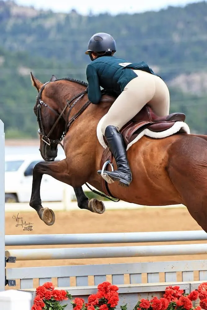 Horse and rider clearing an oxer