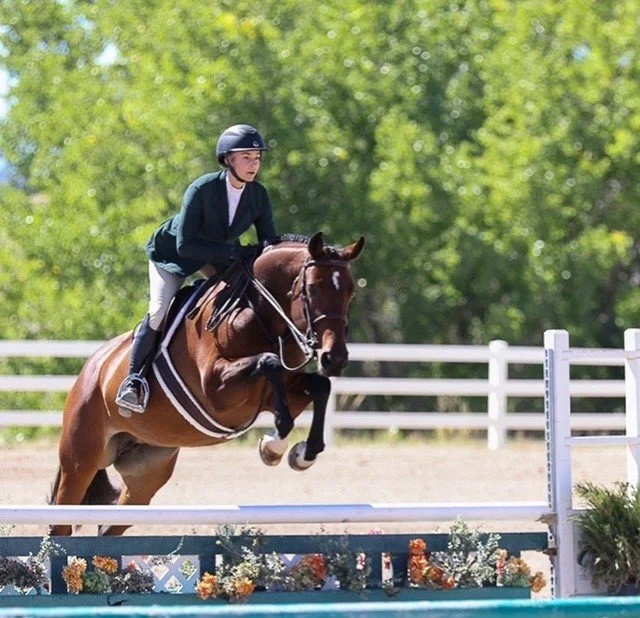 Horse and rider over fences