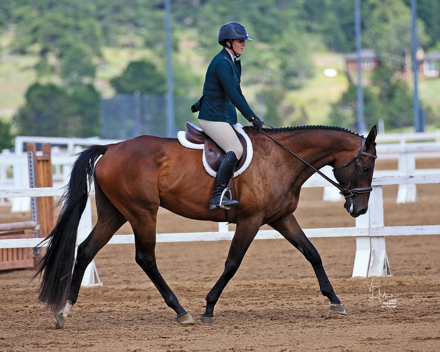 Schooling session in the arena
